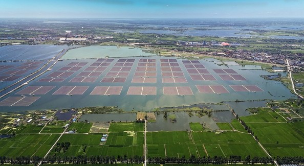 淮南鳳臺：在煤城，“種太陽”