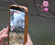 寒潮明天下午來襲，浙江大部跌破0℃，記得備好厚衣服