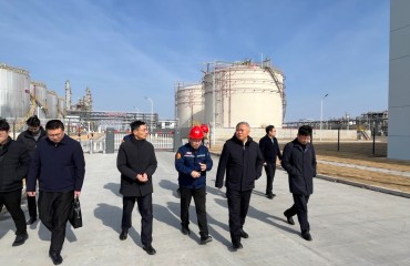 南通市应急管理局专题指导服务通州湾绿色化工拓展区安全风险等级评估筹备工作