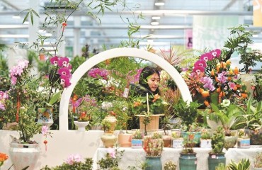 2026合肥迎春花市暨乡村年货大集在肥西开集