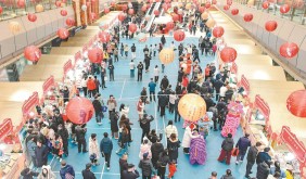 2026年铜陵市年货大集开集