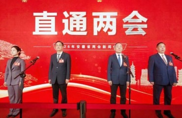 湾沚区：第二场“直通两会”，芜湖代表聚焦这些关键词！