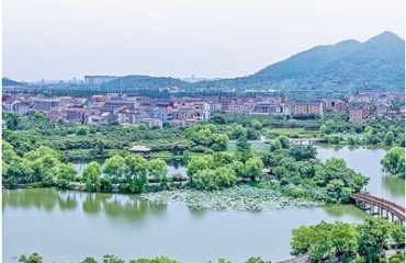 临平从“融”出发 启“十五五”新程