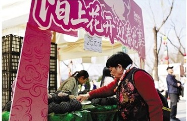 稳稳接住太平年