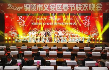义安区2026年春节联欢晚会举行
