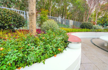 合肥潜山路一批“标识化转角”微更新项目节前亮相