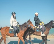 新春走基層 | 我在鄉(xiāng)間建馬場