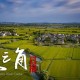 春节档票房，江苏领跑全国