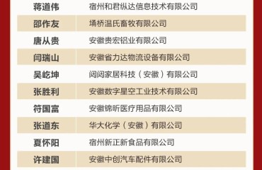 宿州“新春第一会”上，这些推进园区发展和项目建设先进集体和个人受表彰