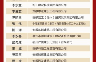 宿州“新春第一会”上，这些新型城镇化建设先进集体和个人受表彰！