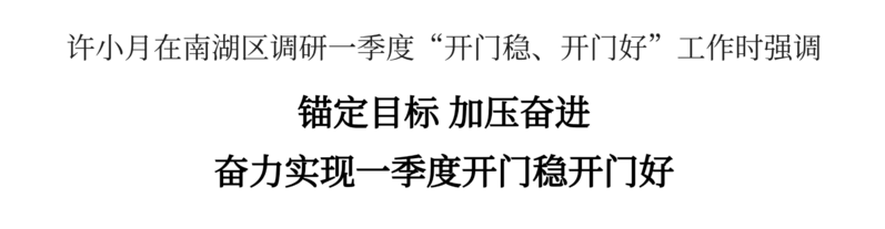 许小月在南湖区调研一季度“开门稳、开门好”工作