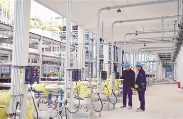 “陪伴式”全周期护航科创企业