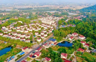 铜官区绘就乡村全面振兴新图景