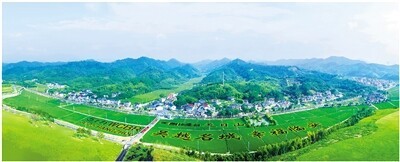 乡村遍开文明花——杭州文明新风润泽田畴沃野