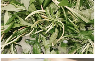 来来来，崇川带你一口把整个春天“吃”进嘴里