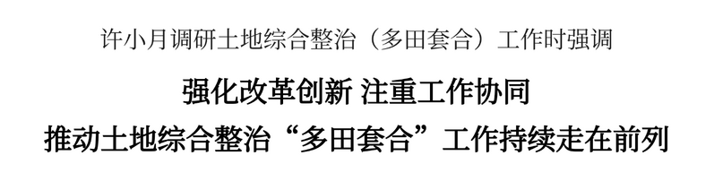 許小月調(diào)研土地綜合整治（多田套合）工作