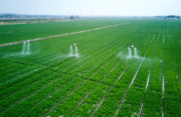 2026新春走基层丨智慧田管护春耕