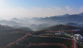 T臺(tái)秀“土特產(chǎn)”，賽事串文旅：諸暨暨南街道探索“共富工坊”與農(nóng)文旅融合