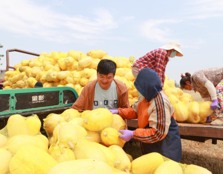 兩會第一線丨省委書記喊記者去安徽“吃瓜”