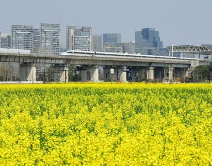 近期浙江阳光出勤率高 20℃的春天这天见