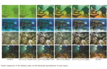 宁波青年科学家团队实现算法突破 让低质视觉信息“重获新生”