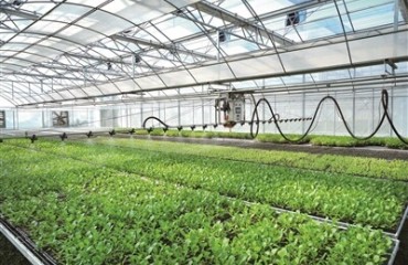 不误农时不负春 余杭大地春耕忙