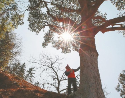 默默堅守，為那一山青綠