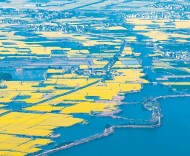 春到水鄉(xiāng)