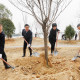 绍兴市、区领导参加义务植树活动