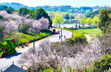 春风拂古村 繁花迎客来