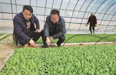 宣州区：春耕启序 送技上门