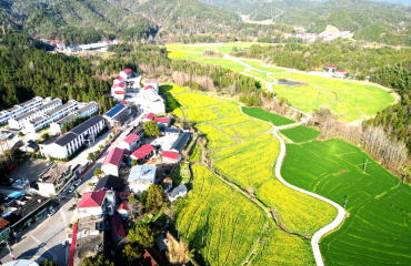 “小而美”解锁乡村振兴新路径