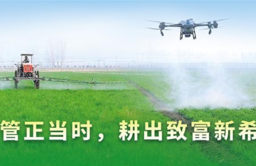 徐州抓实小麦春管各项举措 夯实夏粮丰产基础