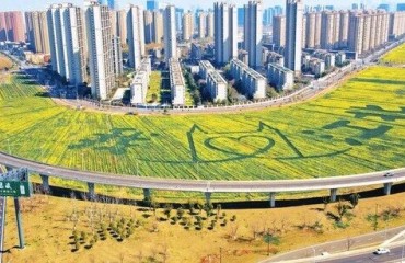 筑巢引凤 才聚江浦——江浦街道首批人才房票落地，青年人才扎根新区启新程