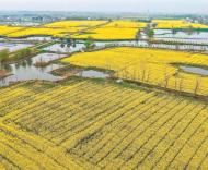 【春游江淮请您来】河湾里的春天