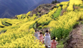 白際鄉(xiāng)：文旅宣推熱潮涌