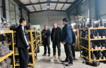 宣城市审计局开展国有融资担保机构专项审计调查