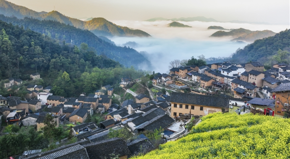 土楼春景入画来