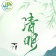 清明思故 万物生长