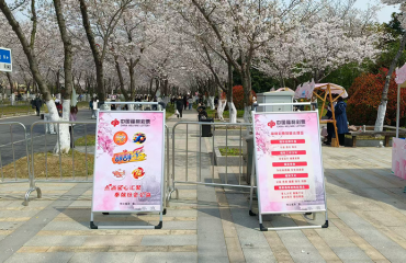 樱约而至 福彩同行——扬州邗江福彩亮相鉴真路樱花大道