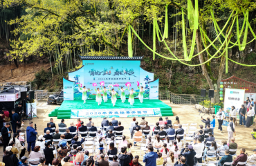 霄坑绿茶开园节举行