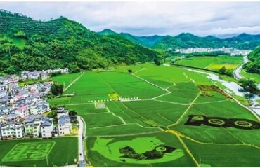 淳安率先探索实施村级生态文明建设情况报告制度