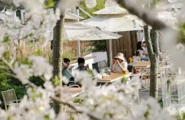 江浦的春天，是懂审美的