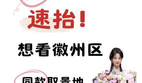 又改名？《家业》速抬上来！| 古徽州 新生活  | 春游江淮