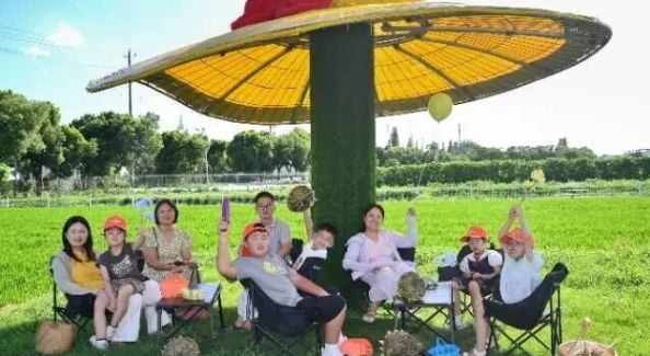 春行锦溪｜春假研学冲鸭！人文+自然双解锁