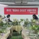 中山社区：花韵芬芳暖社区