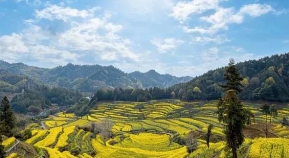 2026长三角绿水青山运动会“古徽州·新生活”灵山古道健康跑火热报名中