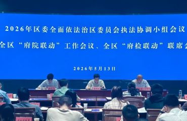 我区召开执法协调小组暨 “府院联动”“府检联动” 联席会议 - 铜官区人民政府