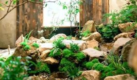 在锦溪掉进“光和作用”、“田言米语”的温柔小世界