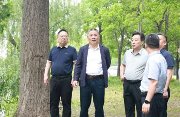 筑牢防汛安全防线 胡春风带队开展防汛排涝安全检查暨巡河工作